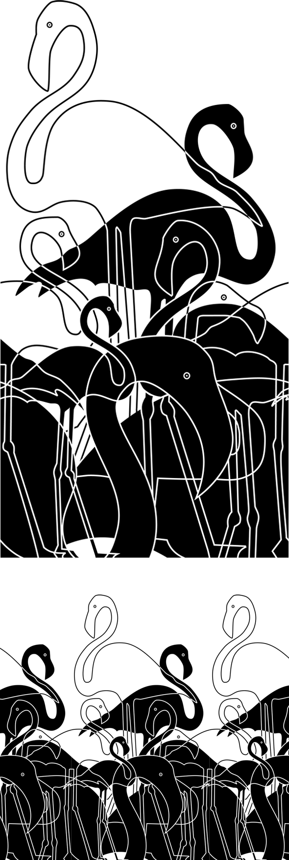 flamingos